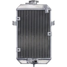 4 RIDE RAD-055 - Batería de arranque