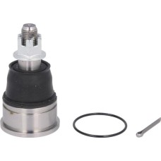 555 SB-6242 - Trag / Führungsgelenk pentru HONDA CIVIC VI Fastback (1994–2001)