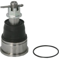 555 SB-6272 - Giunto di supporto / guida pentru HONDA CIVIC VI Saloon (1995–2001)