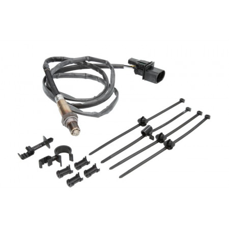 Sonda lambda El cable de la sonda lambda número 5 se adapta a 1720 mm. AUDI A8 D3 SEAT LEON TOLEDO II VW BORA BORA I GOLF IV NEW BEETLE PA VW TOUAREG (7LA, 7L6, 7L7), Crossover, 10.2002 - 01.2013 BOSCH 0 258 007 361