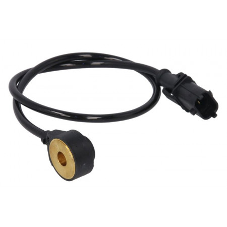 Klopsensor BOSCH verbrandingssensor 0 261 231 218