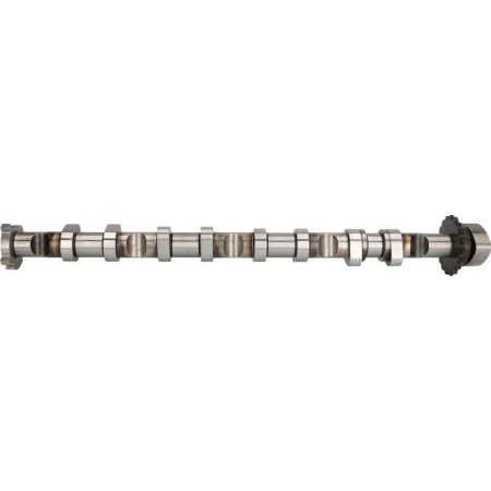 AE CAM981 - Camshaft pentru VW JETTA III (2004–2013)