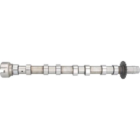 AE CAM975 - Camshaft pentru PEUGEOT 407 (2004–2011)