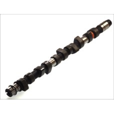 AE CAM442 - Camshaft pentru VW CRAFTER 30-50 Platform/Chassis (2006–2016)