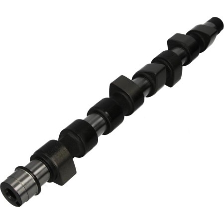 AE CAM654 - Camshaft pentru LANCIA LYBRA (1999–2005)