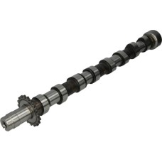AE CAM749 - Camshaft pentru PEUGEOT 407 SW (2004–2011)