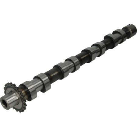 AE CAM748 - Camshaft pentru CITROËN C8 Van (2002–prezent)