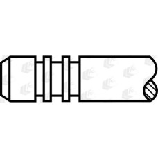 AE V95219 - Outlet valve pentru GAZ VOLGA (1992–2010)