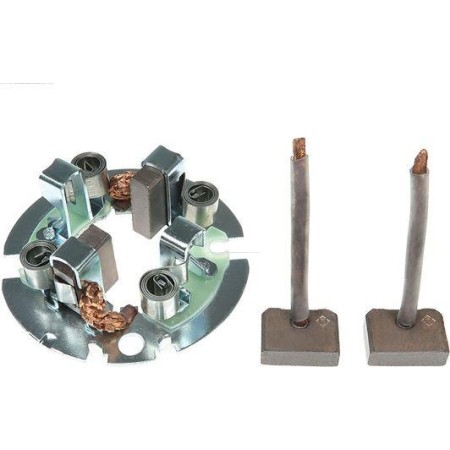 AS-PL SBH6029P - Holder, carbon brushes