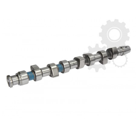Albero a camme VW GOLF IV 1J1 Produttore AUTLOG NW5016