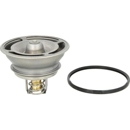 BEHR BTHD 3 76 - Coolant thermostat / housing