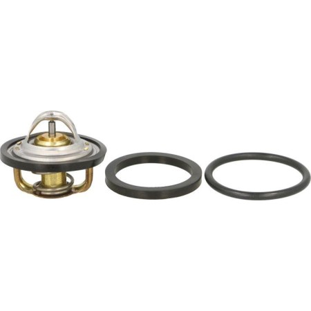 BEHR BTX 1 92D - Coolant thermostat / housing