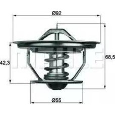 BEHR TX 35 79 - Termostato, refrigerante