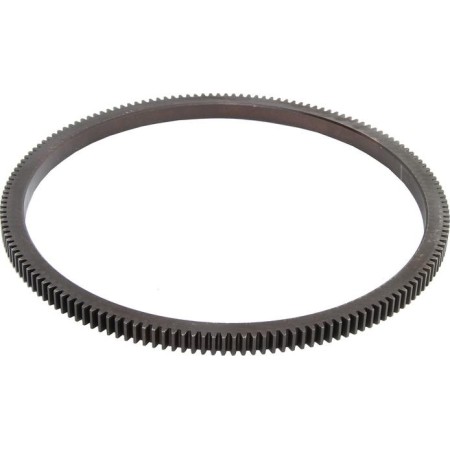 BF 20090711010 - Ring Gear, flywheel