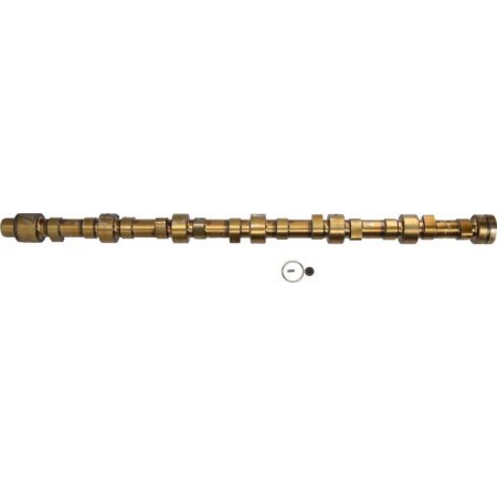BF 20100910502 - Camshaft