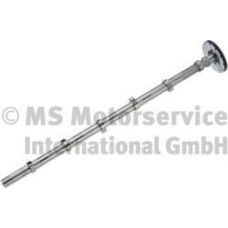 BF 20100347100 - Camshaft