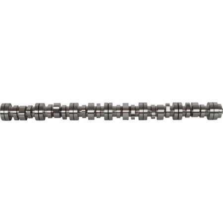 BF 20100712003 - Camshaft
