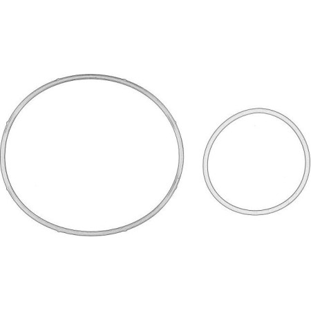 BMW 11 66 8 626 471 - Seal Set, vacuum pump