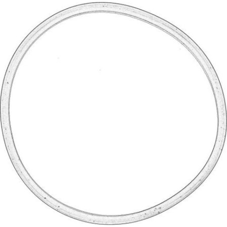 BMW 11611716174 - Gasket, intake manifold housing