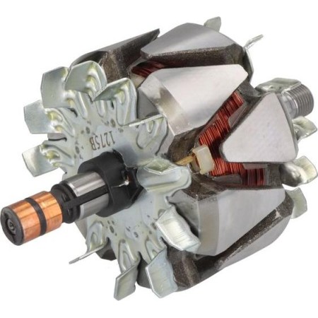 BOSCH 1 986 AE0 743 - Rotor, alternator