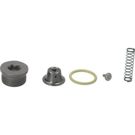 BOSCH F00N201338 - Repair Kit, common rail system