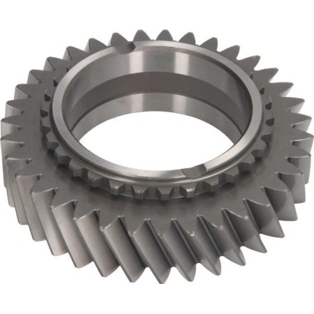 C.E.I. 145.556 - Gear, main shaft