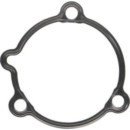 C.E.I. 139.679 - Oil Seal, manual transmission