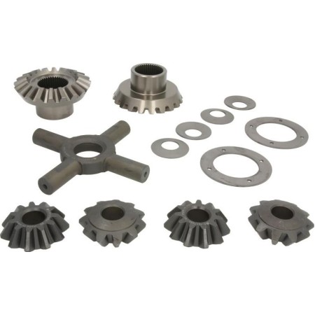 C.E.I. 298.493 - Repair Kit, differential
