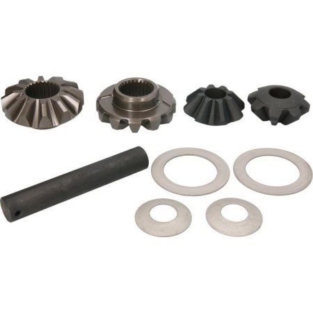 C.E.I. 298.492 - Repair Kit, differential