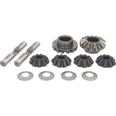C.E.I. 298.227 - Repair Kit, differential