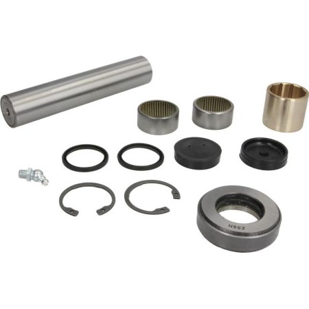 C.E.I. 230.078 - Repair Kit, kingpin