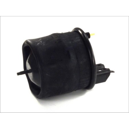 CONTINENTAL 6600 N P02 - Bellow, air suspension