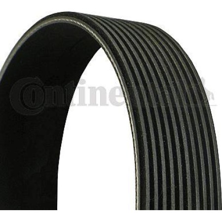 CONTINENTAL 10PK1605 - V-Ribbed Belt