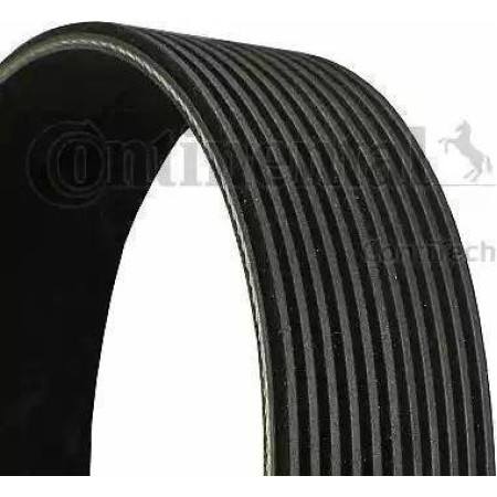 CONTINENTAL 11PK1890 - V-Ribbed Belt