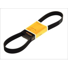 CONTINENTAL 8PK1450 - Courroie trapézoïdale à nervures