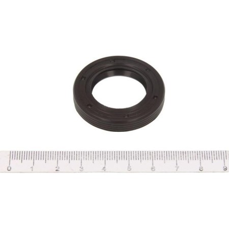 Corteco 12001163B - Shaft Seal, manual transmission main shaft