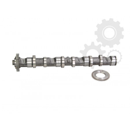 Nokkenas VW PASSAT 3B3 Fabrikant AUTLOG NW5023