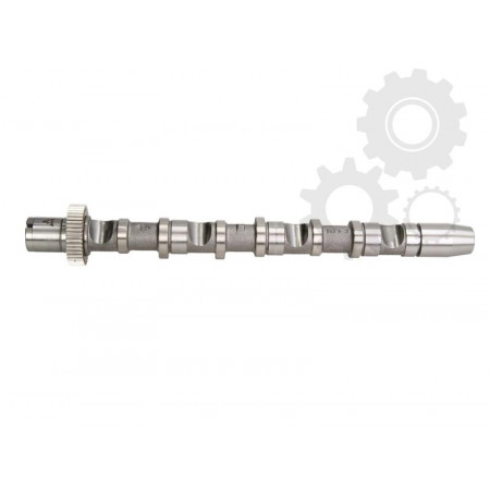 Albero a camme VW PASSAT Variante 3B6 Produttore AUTLOG NW5024