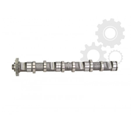 Albero a camme VW PASSAT Variante 3B6 Produttore AUTLOG NW5025