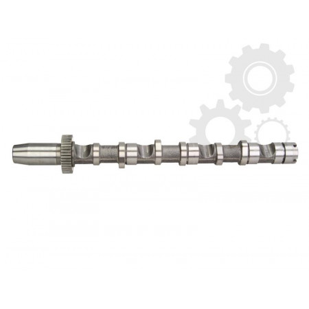 Albero a camme VW PASSAT Variante 3B6 Produttore AUTLOG NW5026