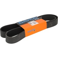 Dayco 10PK1487HD - Correa trapecial poli V