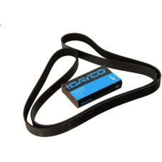 Dayco 8PK1688HD - Correa trapecial poli V