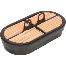 Donaldson P600975 - Filtro de aire complementario