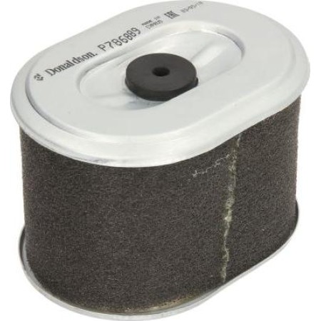 Donaldson P786889 - Air Filter, engine