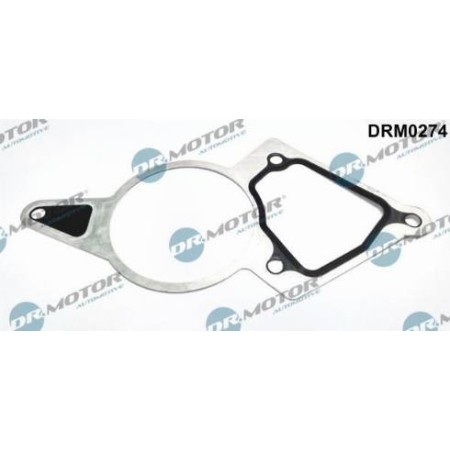 Dr.Motor DRM0274 - Gasket, vacuum pump
