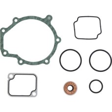 DT Spare Parts 4.90925 - Kit riparazione, Pompa acqua