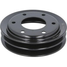 DT Spare Parts 4.61270 - Polea, bomba de agua