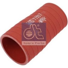 DT Spare Parts 5.45219 - Kühlerschlauch