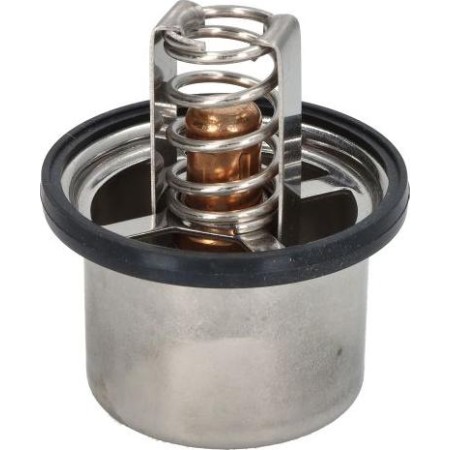 DT Spare Parts 5.41096 - Coolant thermostat / housing