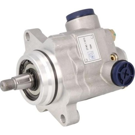 DT Spare Parts 1.19113 - Hydraulic Pump, steering system